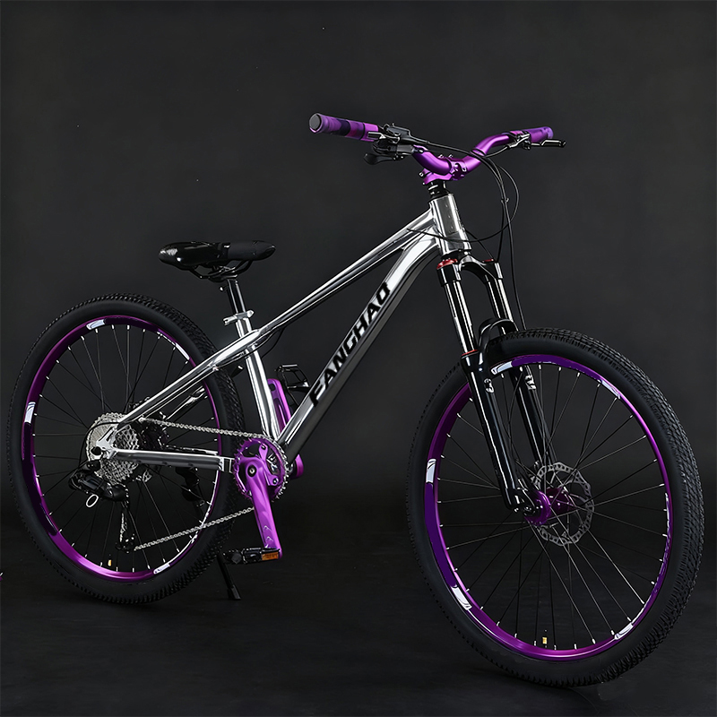 Dirt Jump 26 Inch Lightweight  - đánh giá và giá Mountain Biking Jumps