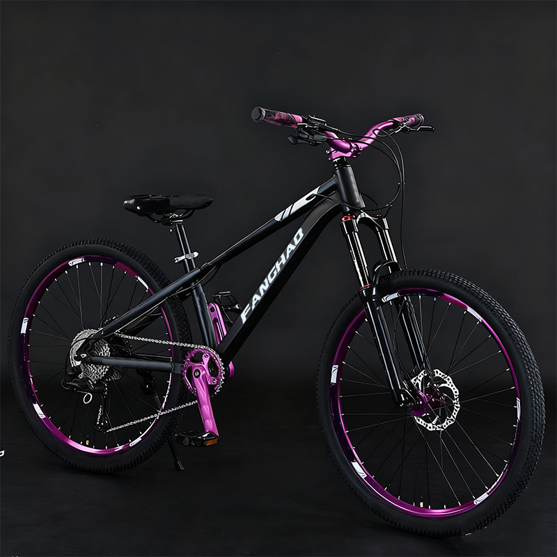 Dirt Jump 26 Inch Lightweight  - đánh giá và giá Mountain Biking Jumps